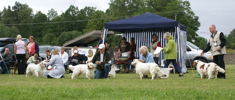 SWE_CLUBSHOW_OpenDogs_1_4