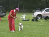 SWE_CLUBSHOW_PuppyClass_ST_Queen_Guinevere_c