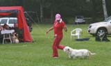 SWE_CLUBSHOW_PuppyClass_ST_Queen_Guinevere_e