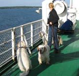 Mari_Boys_on_ferry_to_Sweden
