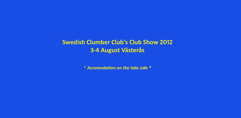 SWEClubShow2012_2