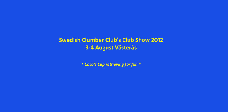 SWEClubShow2012_3