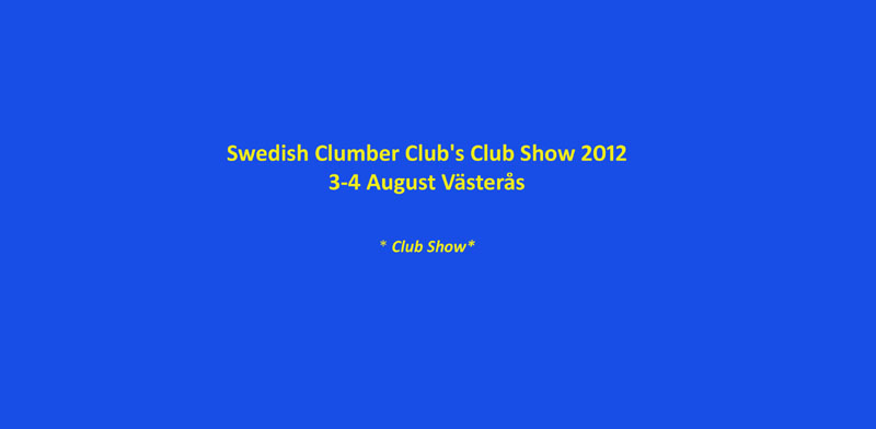 SWEClubShow2012_5