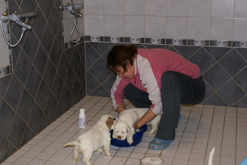 a_pups_bathing_nearly_6weeks_old_f