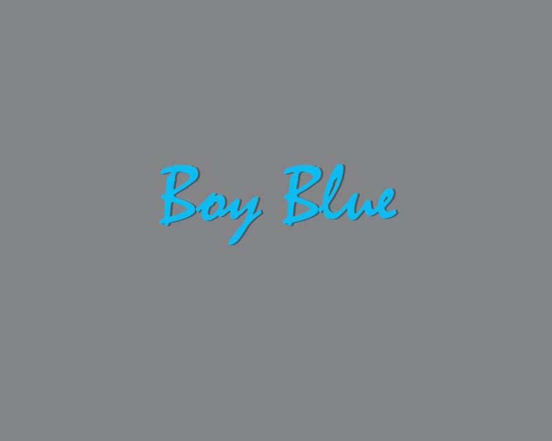 Bumbaa's_litter_6weeks_Boy_Blue_0
