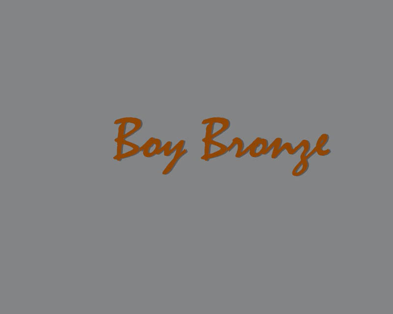 Bumbaa's_litter_2weeks_Boy_Bronze_0