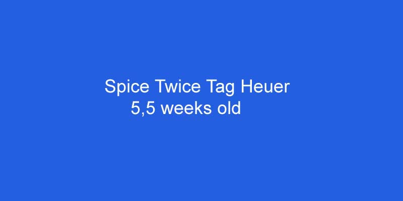 ST_Tag_Heuer_5,5weeks