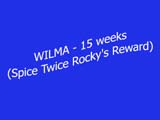 Wilma_15weeks