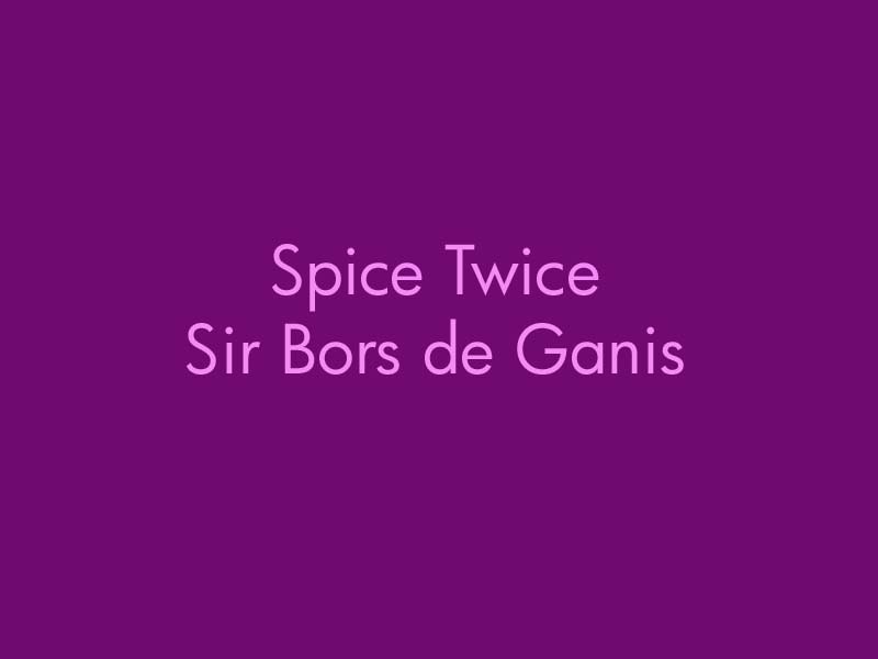 ST_Sir_Bors_De_Ganis